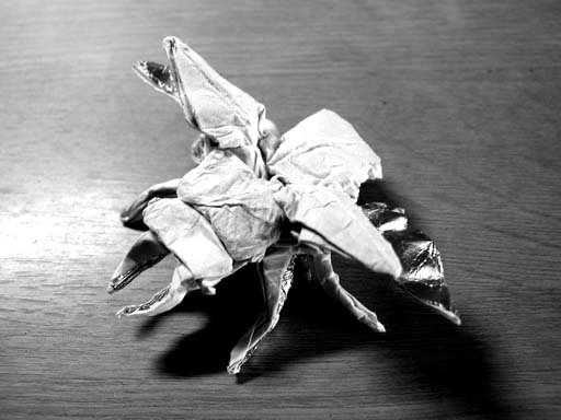 stagbeetle(f) 2002 
��ї��Ƃ��Ƃ��Ă���N���K�^�B
��߂���